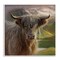 Stupell Industries Butterscotch Highland Cow Wall Plaque, design by Collin Bogle